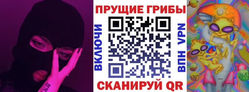 Псилоцибиновые грибы Psilocybe  где продают   Печоры 
